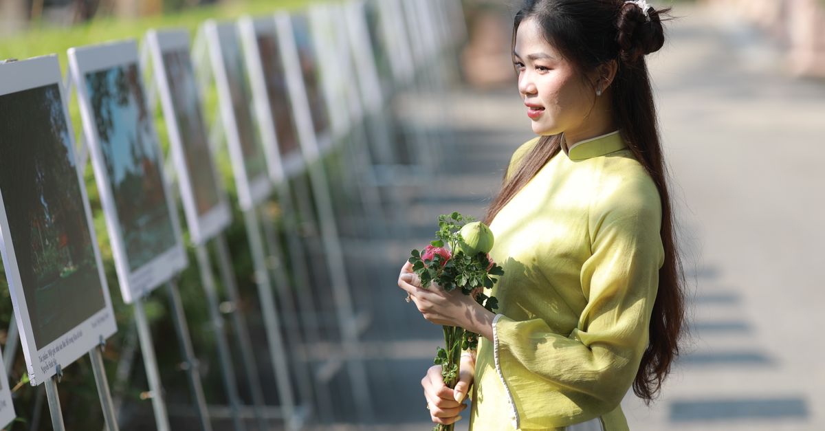 Công Cụ Chọn Màu