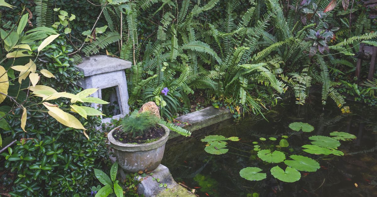 Kiểm tra độ phân giải