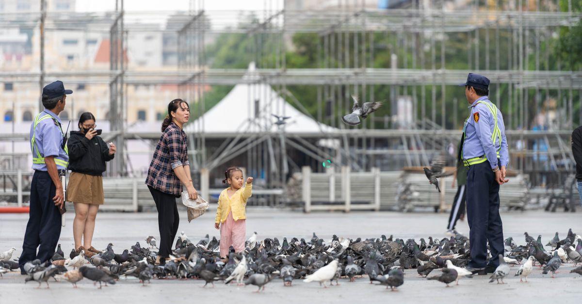 Công cụ Audit Assistance của Flock: Giải pháp hay chỉ là lớp vỏ?
