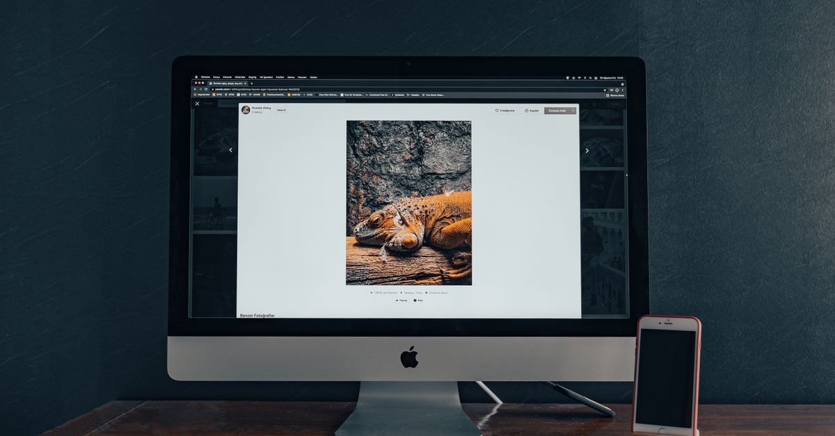 Instantly Convert JPG to WebP: Fast, Private, and Free Online Tool