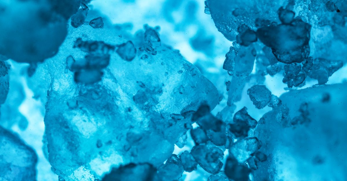 ICE Added Nearly 1 Million DNA Profiles in 2025 – What It Means